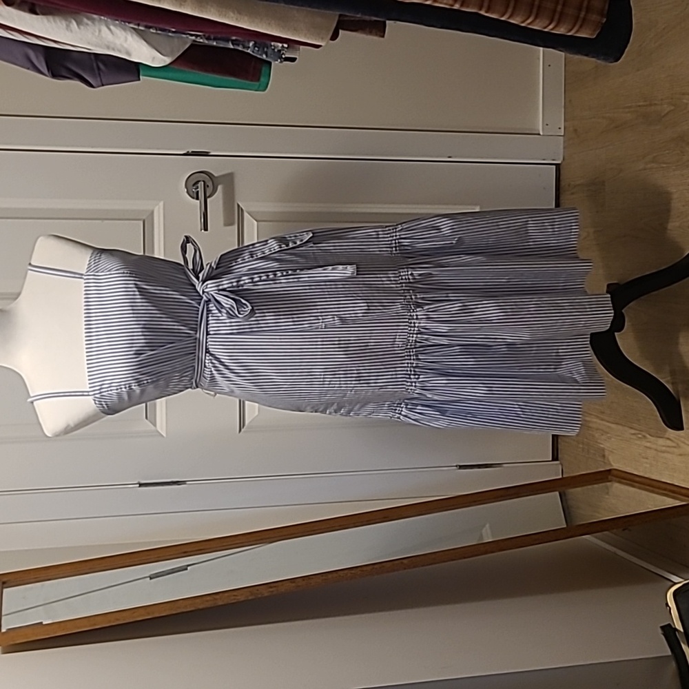 Banana Republic ble and wite striped dress